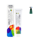 WILD COLOR Direct Color 180ml #Aqua