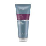 OYSTER - COLOR MASK 250ml * PURPLE (μωβ)