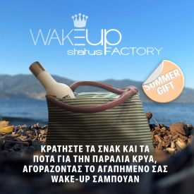 wake up ice post ad 23-05-25