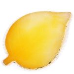 ΠΑΛΕΤΑ NAIL ART "ΦΥΛΛΟ" - Yellow