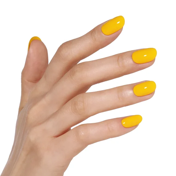 BLUESKY ΗΜΙΜΟΝΙΜΟ - Sunflower Glow #AW2414 - Image 2