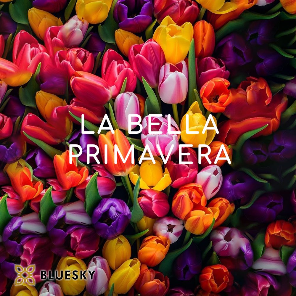 La Bella Primavera