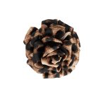 ΚΑΡΦΙΤΣΑ ΠΕΤΟΥ Wild elegance - Brown