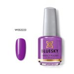 BLUESKY WEEKLY WSS2223 Remember 15ml