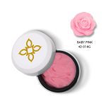 BLUESKY 4D PASTE 8gr - 07 Baby Pink