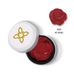 BLUESKY 4D PASTE 8gr - 08 Red