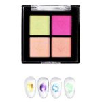Pressed Nail Powder - CHROME PALETTE 4G07
