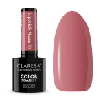 CLARESA Ημιμόνιμο 5g - Lipstick Muse 10