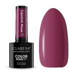CLARESA Ημιμόνιμο 5g - Lipstick Muse 11